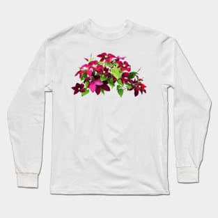 Magenta Clematis With Vine Long Sleeve T-Shirt